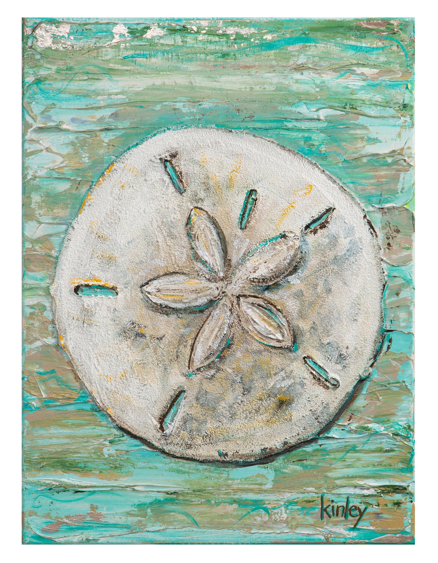 Sand Dollar