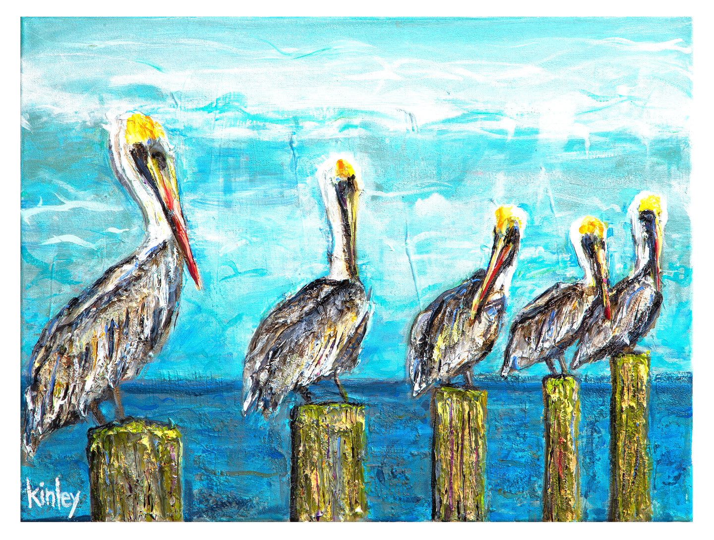 Pelicans